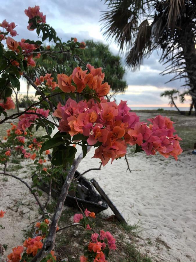 Emayani Beach Lodge Pangani Kültér fotó