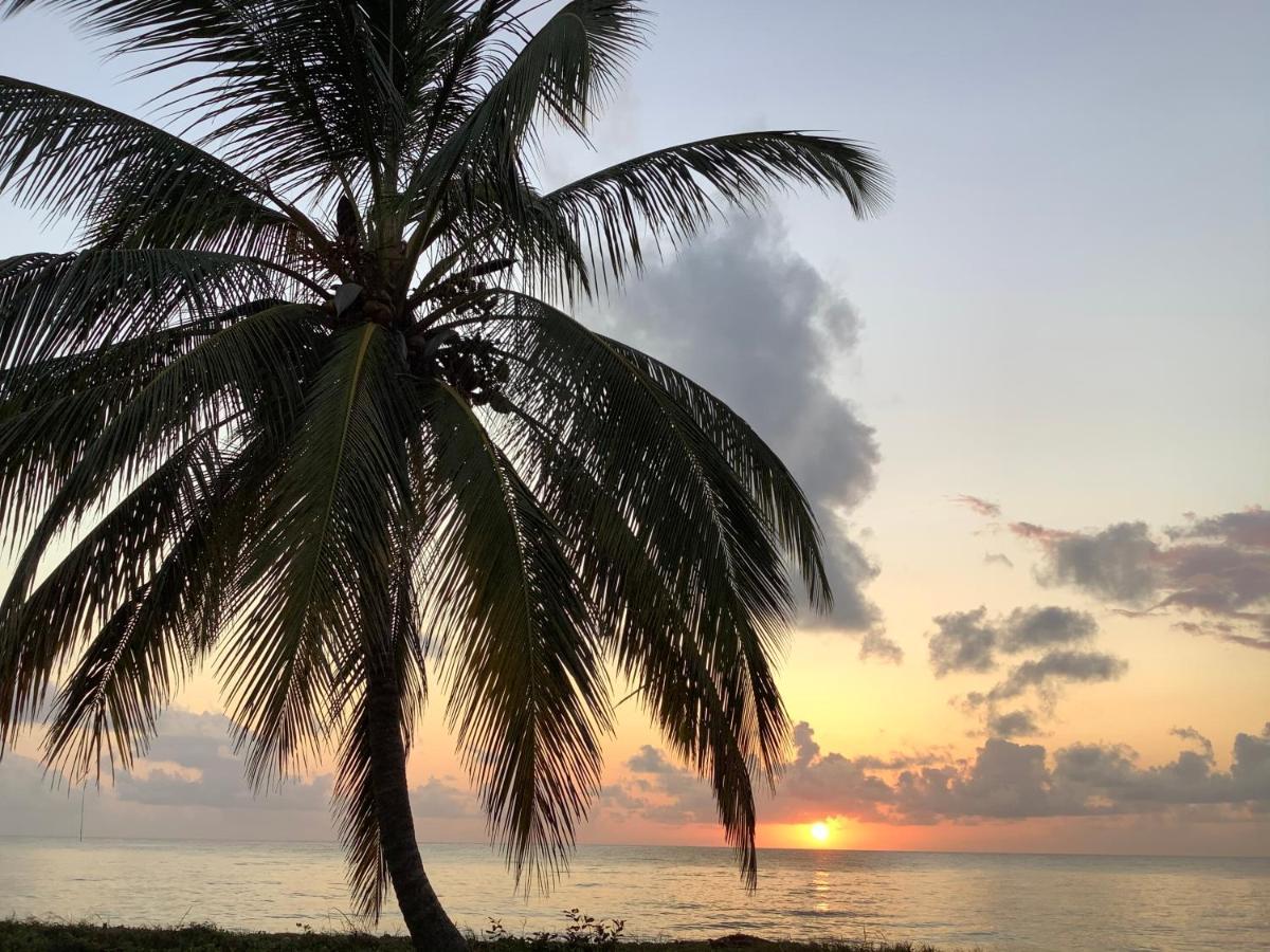 Emayani Beach Lodge Pangani Kültér fotó