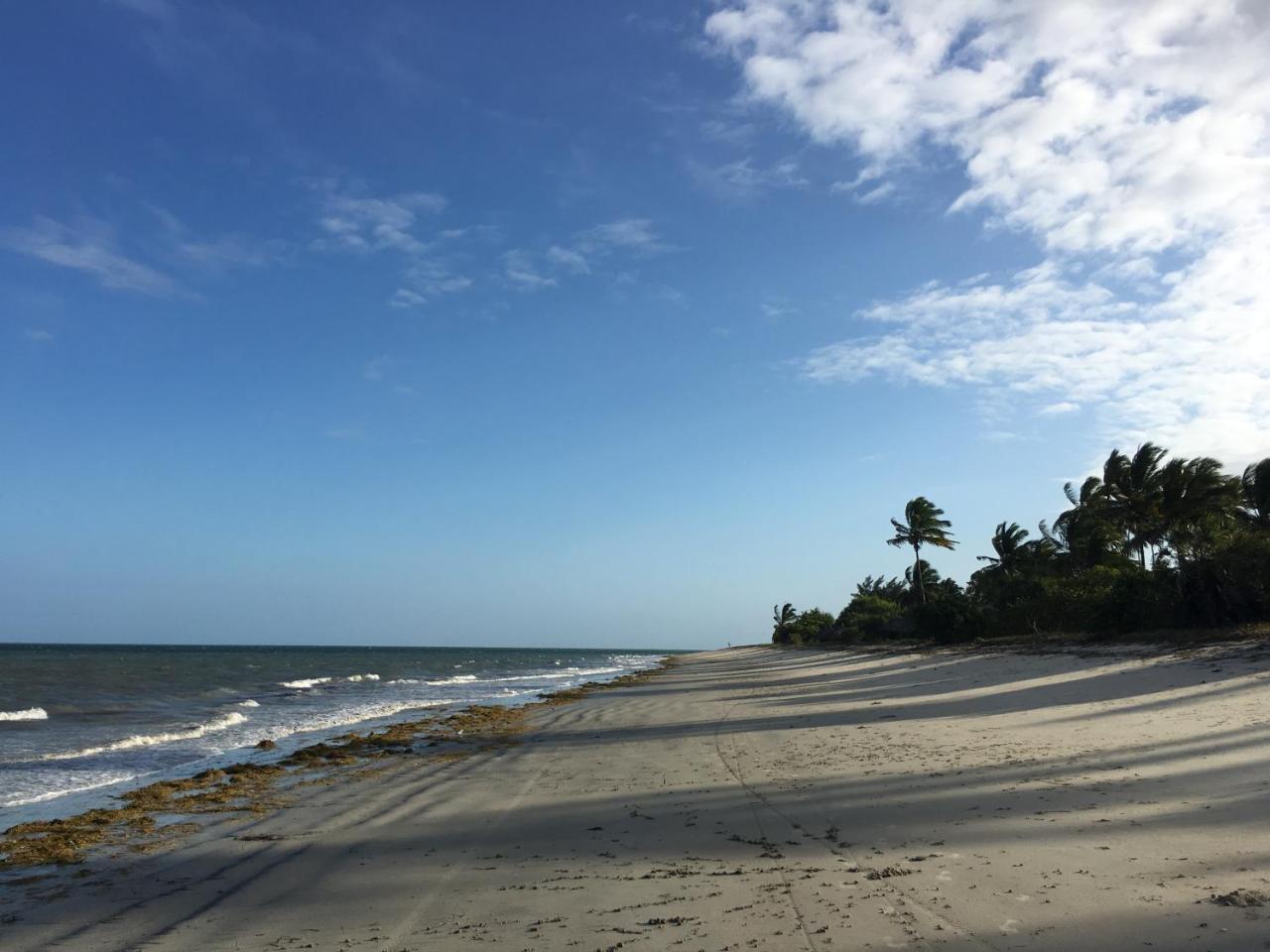 Emayani Beach Lodge Pangani Kültér fotó